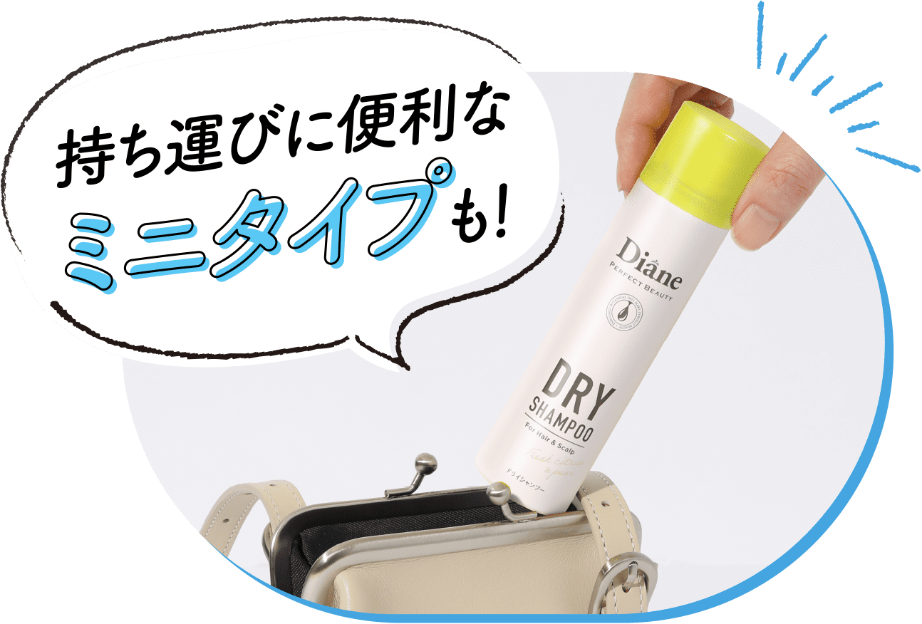 持ち運びに便利なミニタイプも！