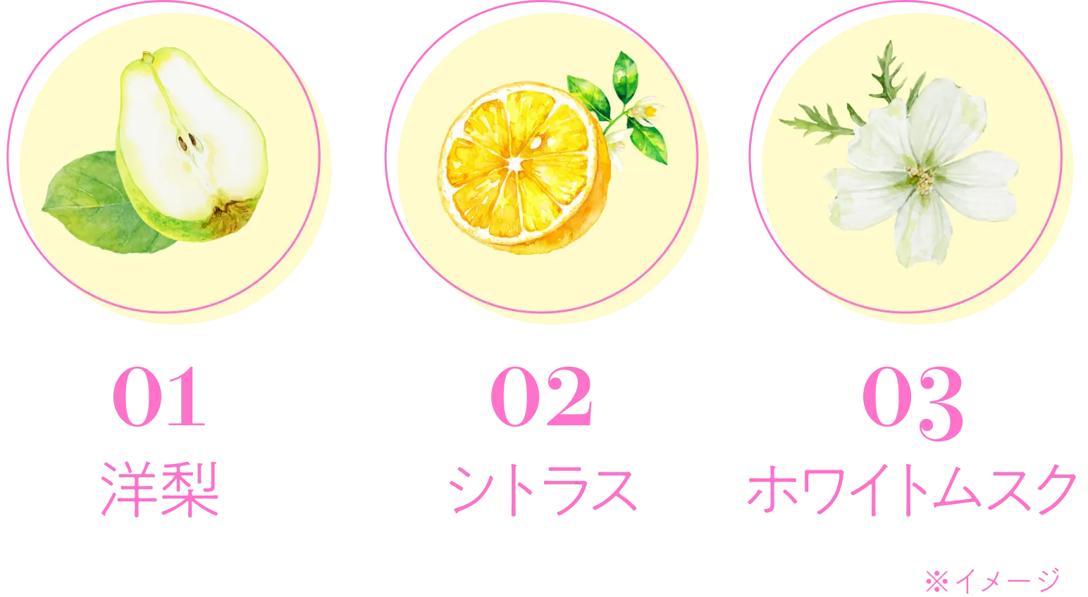01洋梨 02シトラス 03ホワイトムスク