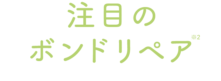 注目の ボンドリペア