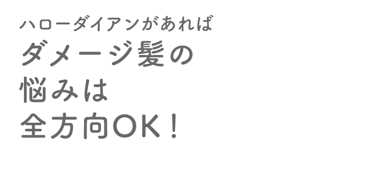 ハローダイアンがあればダメージ髪の悩みは全方向OK！