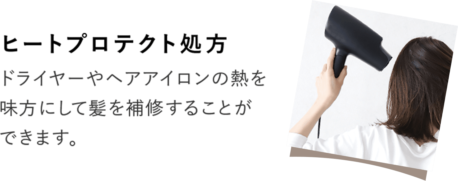 ヒートプロテクト処方 ドライヤーやヘアアイロンの熱を味方にして髪を補修することができます。