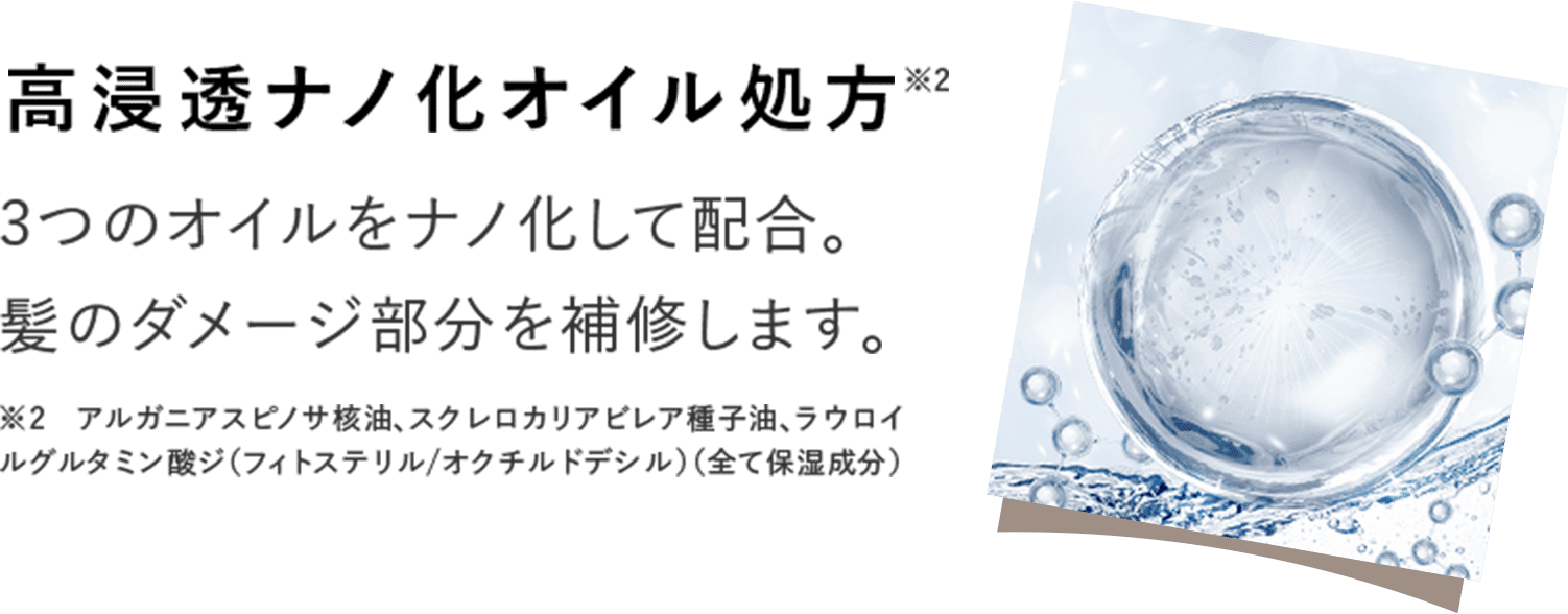 高浸透ナノ化オイル処方※1 3つのオイルをナノ化して配合。髪のダメージ部分を補修します。 ※2　アルガニアスピノサ核油、スクレロカリアビレア種子油、ラウロイルグルタミン酸ジ（フィトステリル/オクチルドデシル）（全て保湿成分）