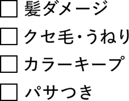 髪ダメージ カラーキープ クセ毛・うねり パサつき