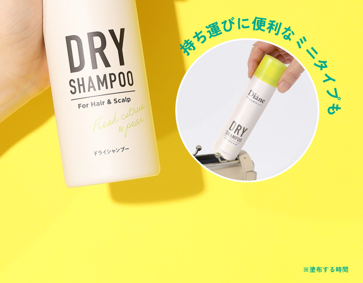 持ち運びに便利なミニタイプも