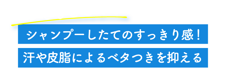 シャンプーしたてのすっきり感！汗や皮脂によるベタつきを抑える