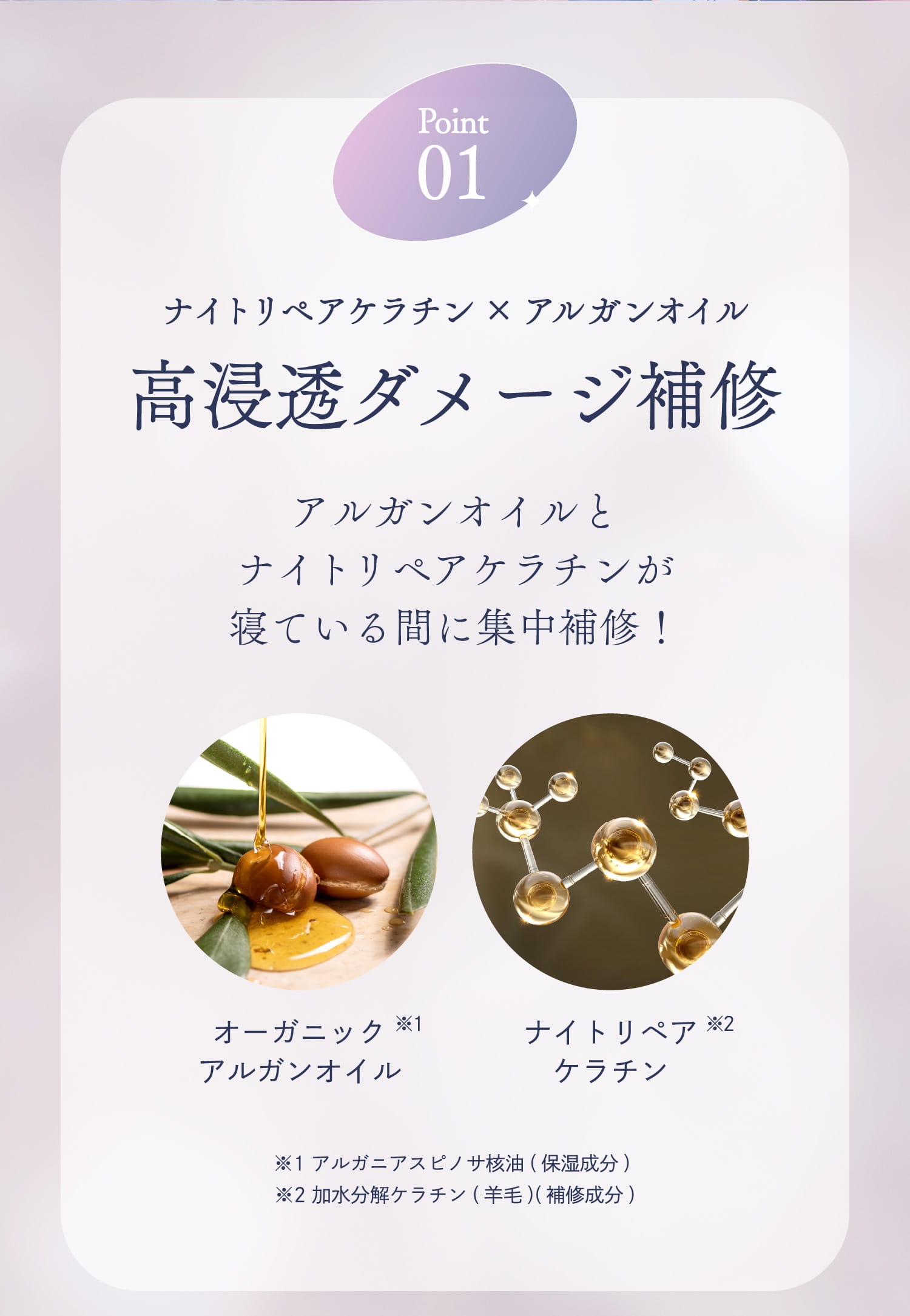 Point01 ナイトリペアケラチン×アルガンオイル 高浸透ダメージ補修 アルガンオイルとナイトリペアケラチンが寝ている間に集中補修！