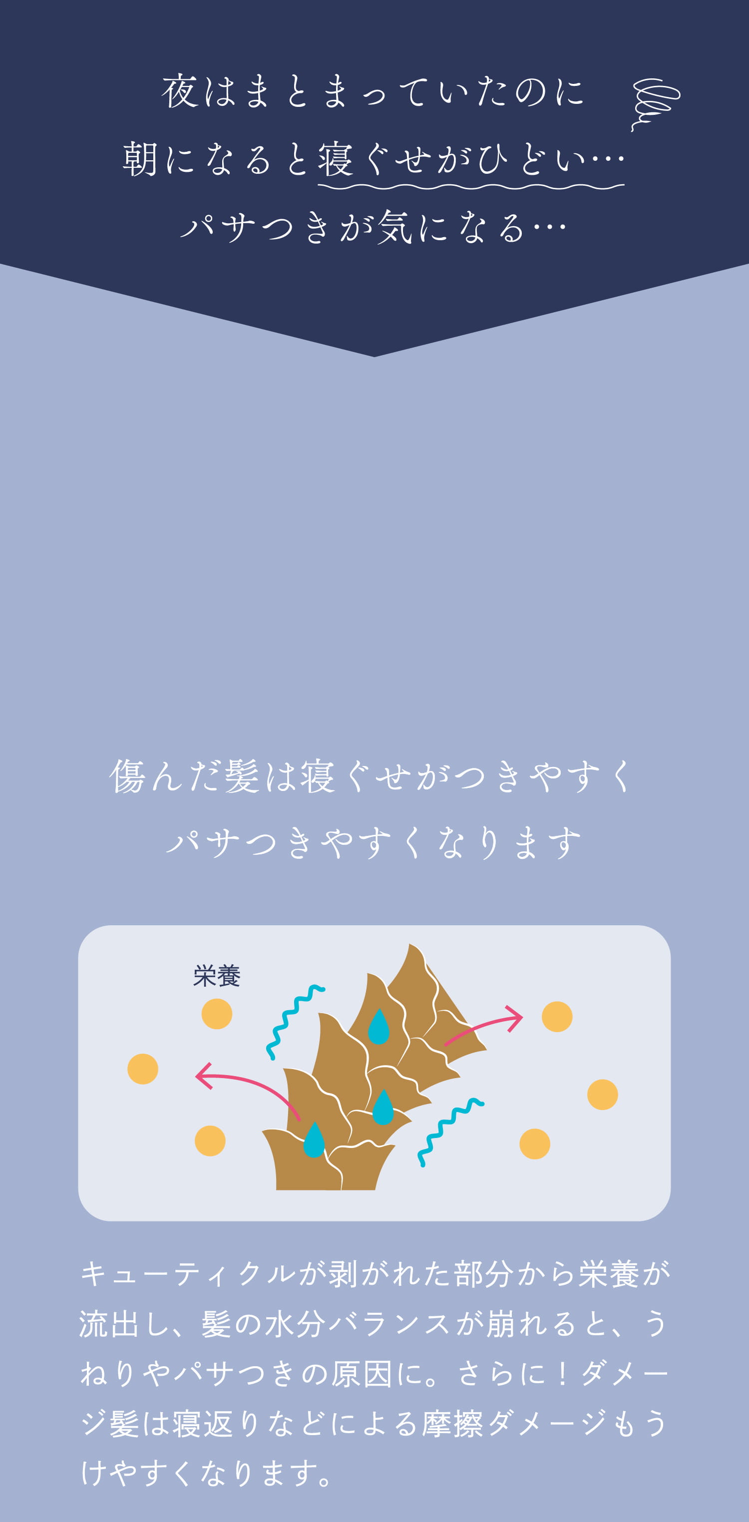 夜はまとまっていたのに朝になると寝ぐせがひどい…パサつきが気になる… 傷んだ髪は寝ぐせがつきやすくパサつきやすくなります キューティクルが剥がれた部分から栄養が流出し、髪の水分バランスが崩れると、うねりやパサつきの原因に。さらに！ダメージ髪は寝返りなどによる摩擦ダメージもうけやすくなります。