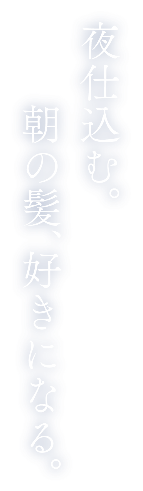 夜仕込む。 朝の髪、好きになる。