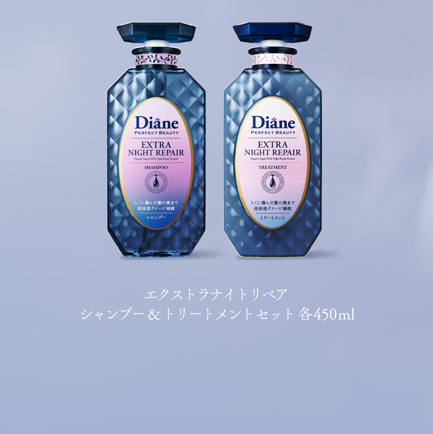 エクストラナイトリペアシャンプー&トリートメントセット 各450ml