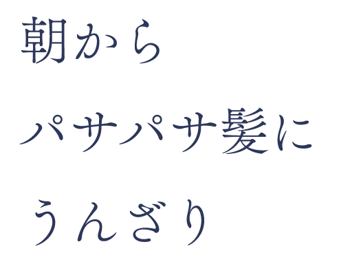 朝からパサパサ髪にうんざり